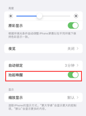 绥棱苹果授权维修站分享iPhone轻点无法唤醒怎么办