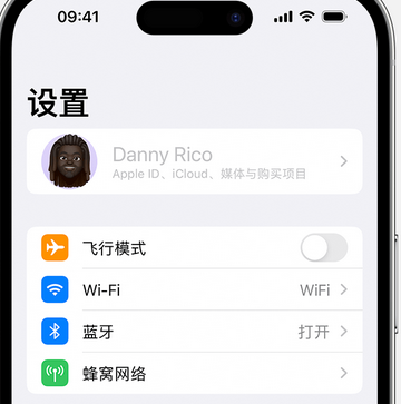 绥棱appleID维修服务iPhone设置中Apple ID显示为灰色无法使用 