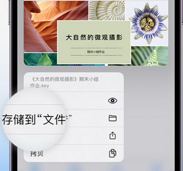 绥棱apple维修中心分享iPhone文件应用中存储和找到下载文件