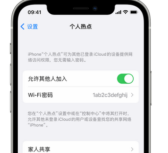 绥棱apple服务站点分享iPhone上个人热点丢失了怎么办