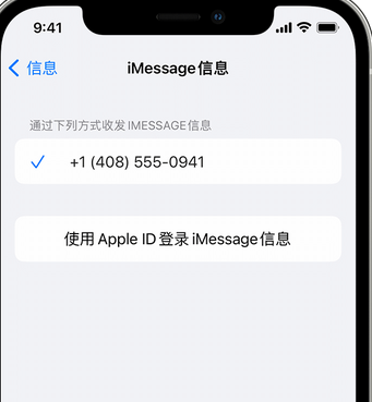 绥棱apple维修iPhone上无法正常发送iMessage信息 