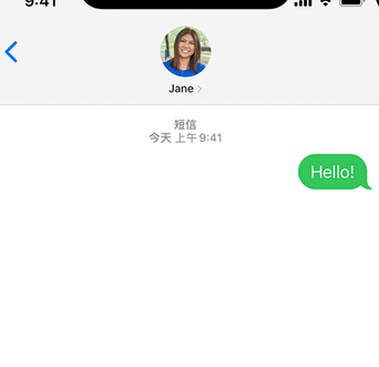 绥棱apple维修iPhone上无法正常发送iMessage信息