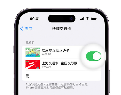 绥棱apple维修点分享iPhone上更换Apple Pay快捷交通卡手绘卡面 