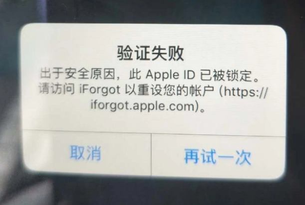 绥棱iPhone维修分享iPhone上正常登录或使用AppleID怎么办 