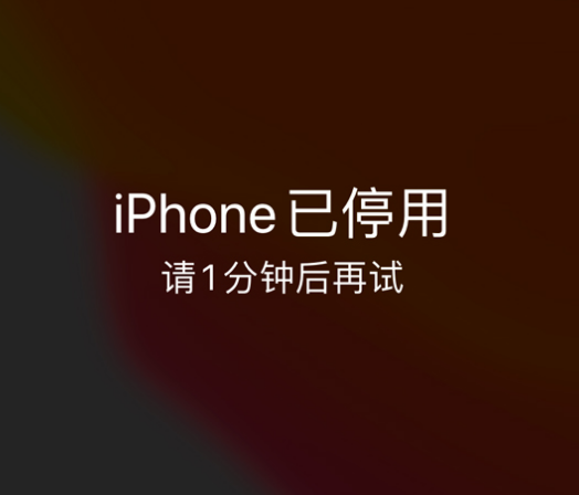 绥棱苹果手机维修分享:iPhone 显示“不可用”或“已停用”怎么办？还能保留数据吗？ 