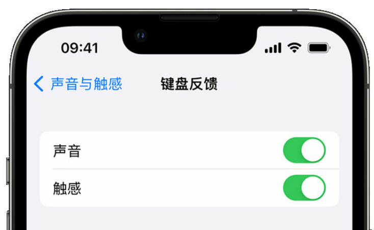 绥棱苹果手机维修分享iPhone 14触感键盘使用方法 