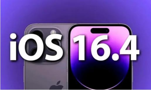 绥棱苹果14维修分享：iPhone14可以升级iOS16.4beta2吗？ 