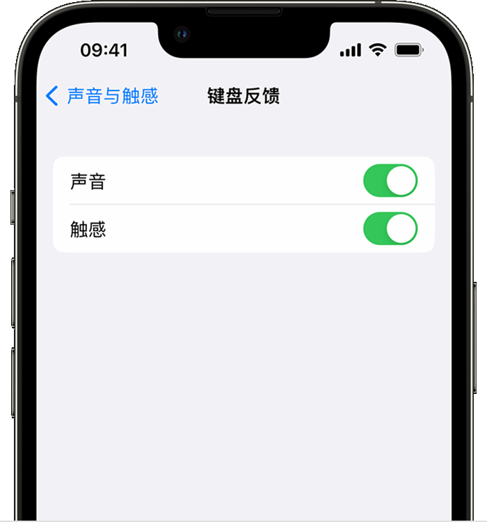 绥棱苹果14维修店分享如何在 iPhone 14 机型中使用触感键盘 