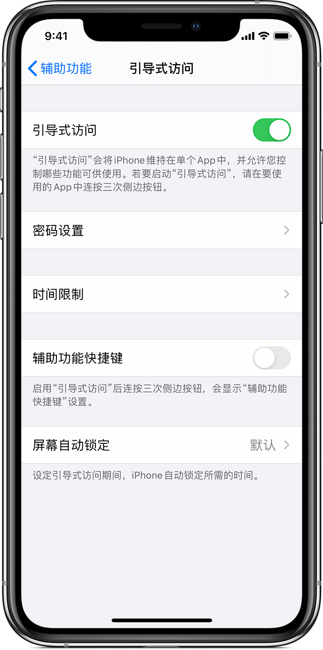 绥棱苹果手机维修分享如何在 iPhone 上退出引导式访问 