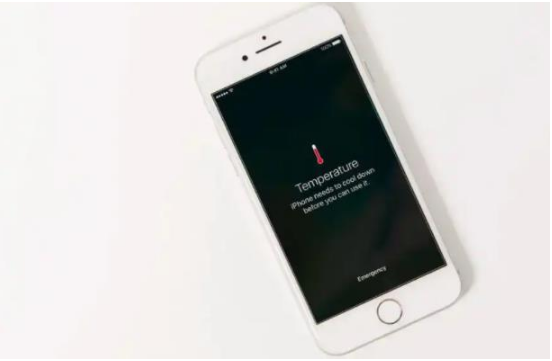 绥棱苹果手机维修分享iPhone 手机发热如何快速降温 