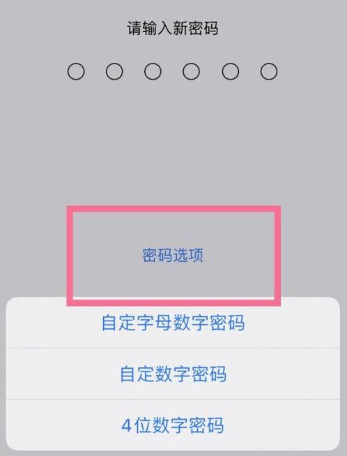 绥棱苹果14维修分享iPhone 14plus设置密码的方法 