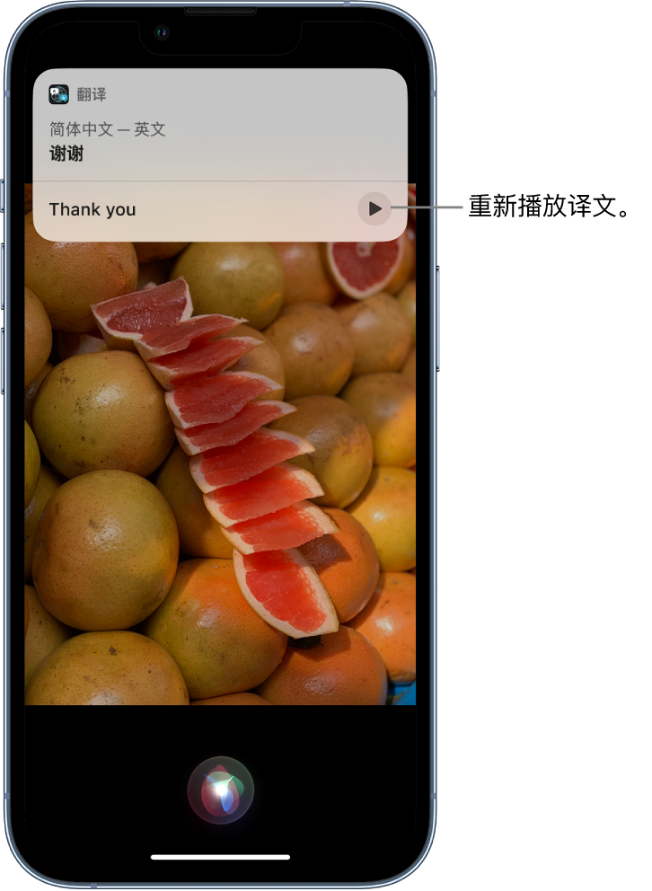 绥棱苹果14维修分享 iPhone 14 机型中使用 Siri：了解 Siri 能帮你做什么 