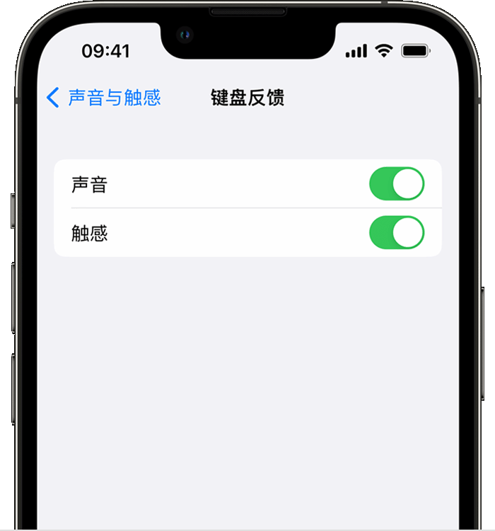 绥棱苹果14维修分享iPhone 14 系列机型如何开启键盘声音或触感反馈 