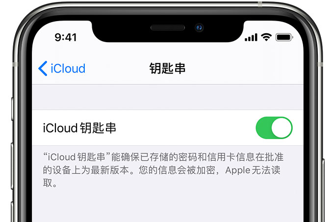 绥棱苹果手机维修分享在 iPhone 上开启 iCloud 钥匙串之后会储存哪些信息 