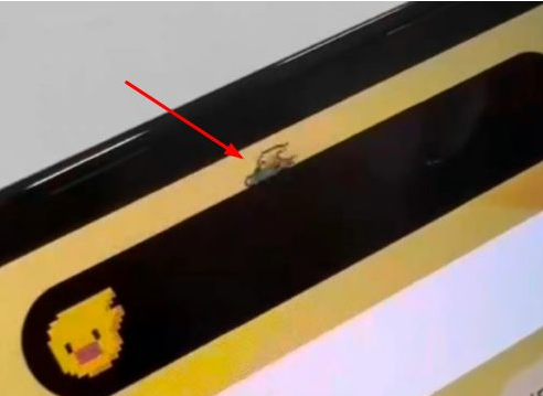 绥棱苹果14维修分享iPhone 14 Pro Max灵动岛怎么养宠物 