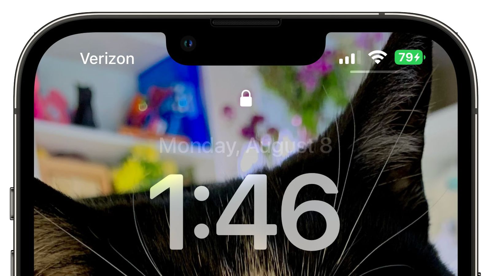 绥棱苹果手机维修分享iOS 16 beta 5 支持状态栏显示电池百分比，如何开启？支持哪些机型 