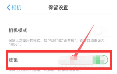 绥棱苹果13维修分享iPhone13拍照有绿点是怎么回事 