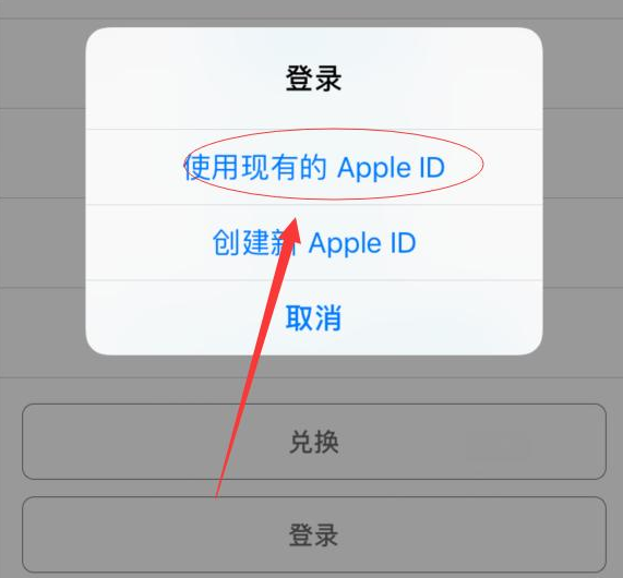 绥棱苹果手机维修分享两台iPhone设备可以同时登录一个Apple ID吗 