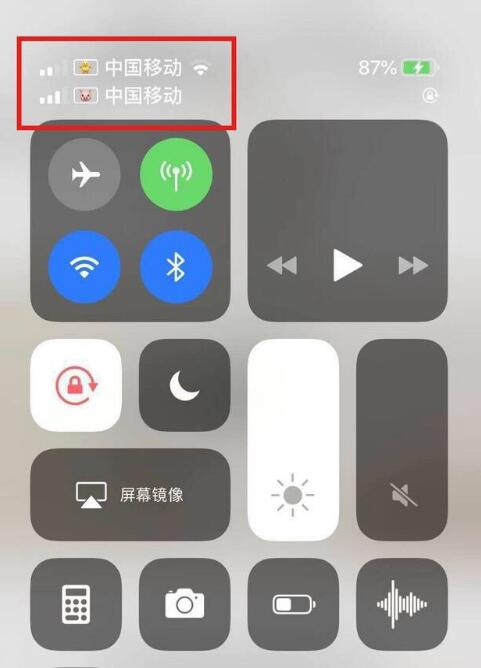 绥棱苹果手机维修分享为 iPhone 12 双卡设置标签 