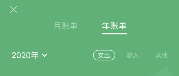 绥棱苹果手机维修分享如何在 iPhone 上查看支付宝和微信年支出账单 