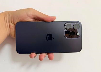 绥棱苹果维修点分享iPhone 14 Pro Max黑屏少见故障盘点 